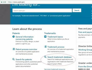 网页设计产品上传防侵权指南 从创意到合规的全程要点